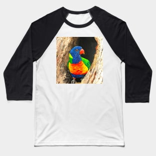 Rainbow Lorikeet Baseball T-Shirt